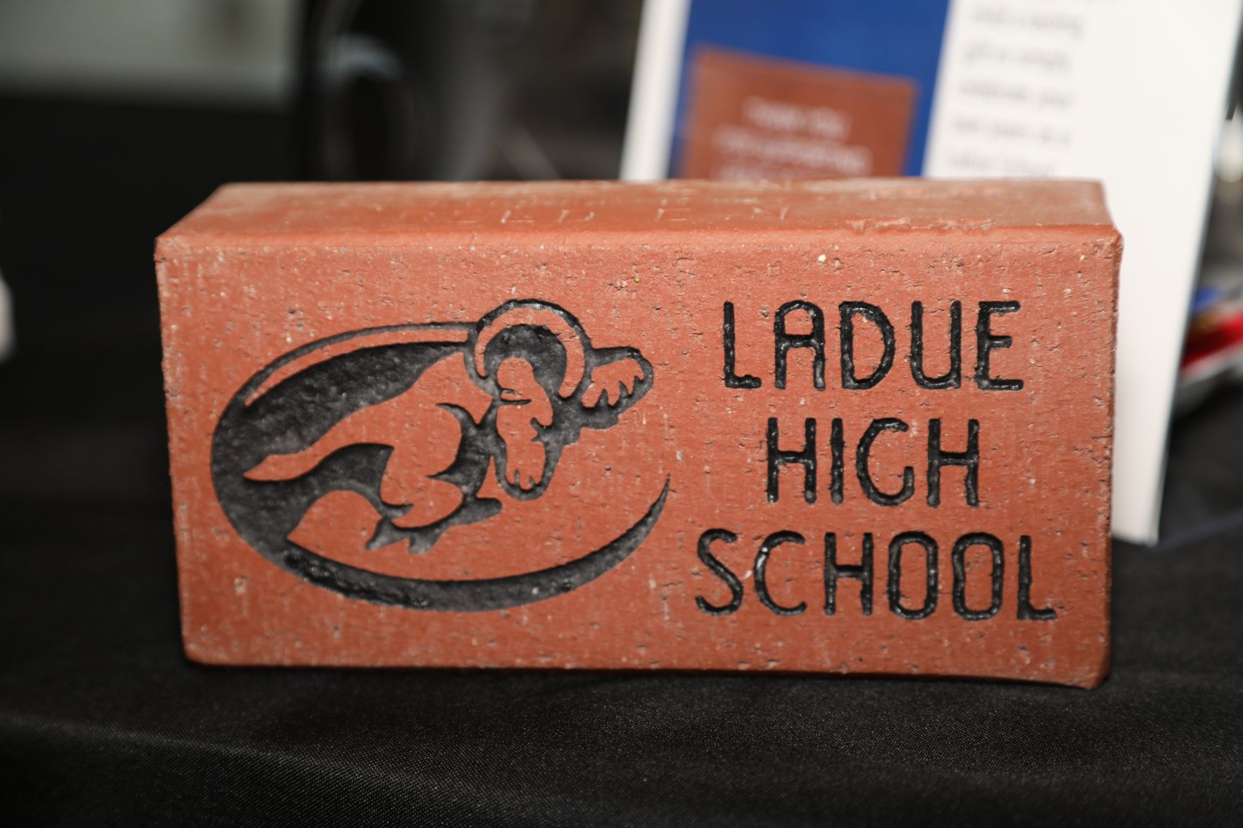 2018-Ladue-Education-Foundation-022.JPG